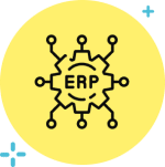 ERP project management professional