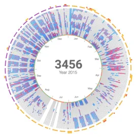 Data Science Projects
