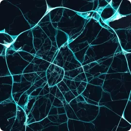 Data Science Projects